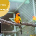 Best Air Purifier for Bird Owners