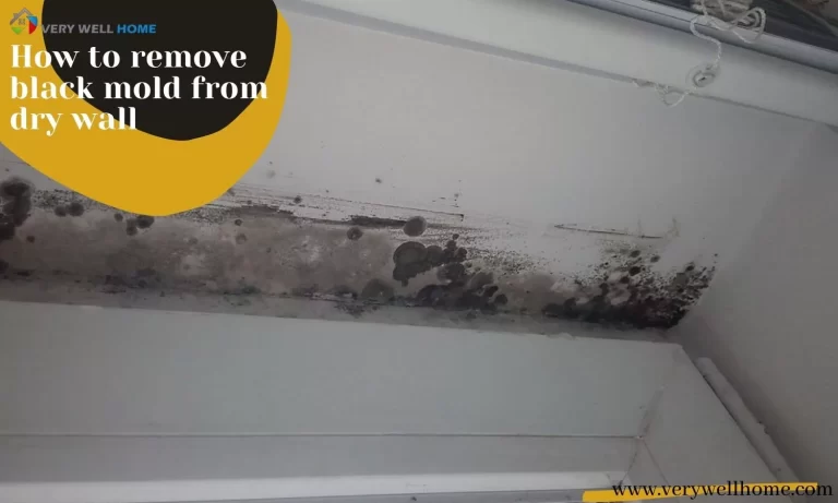 How to remove black mold from the drywall?