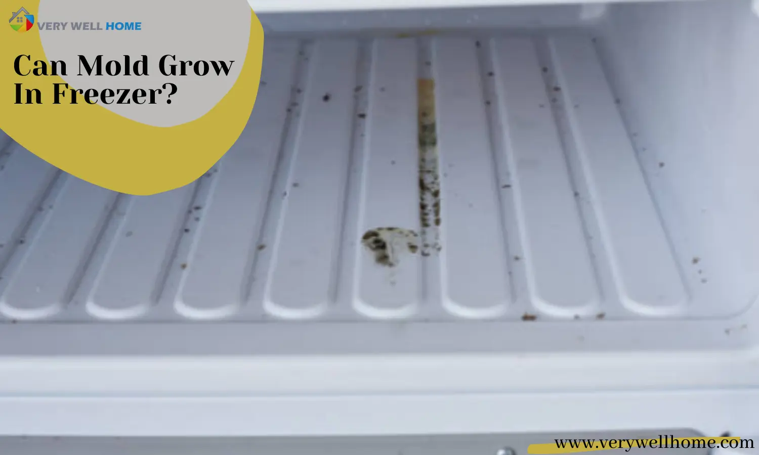 Can Mold Grow In Freezer or Refrigerator?