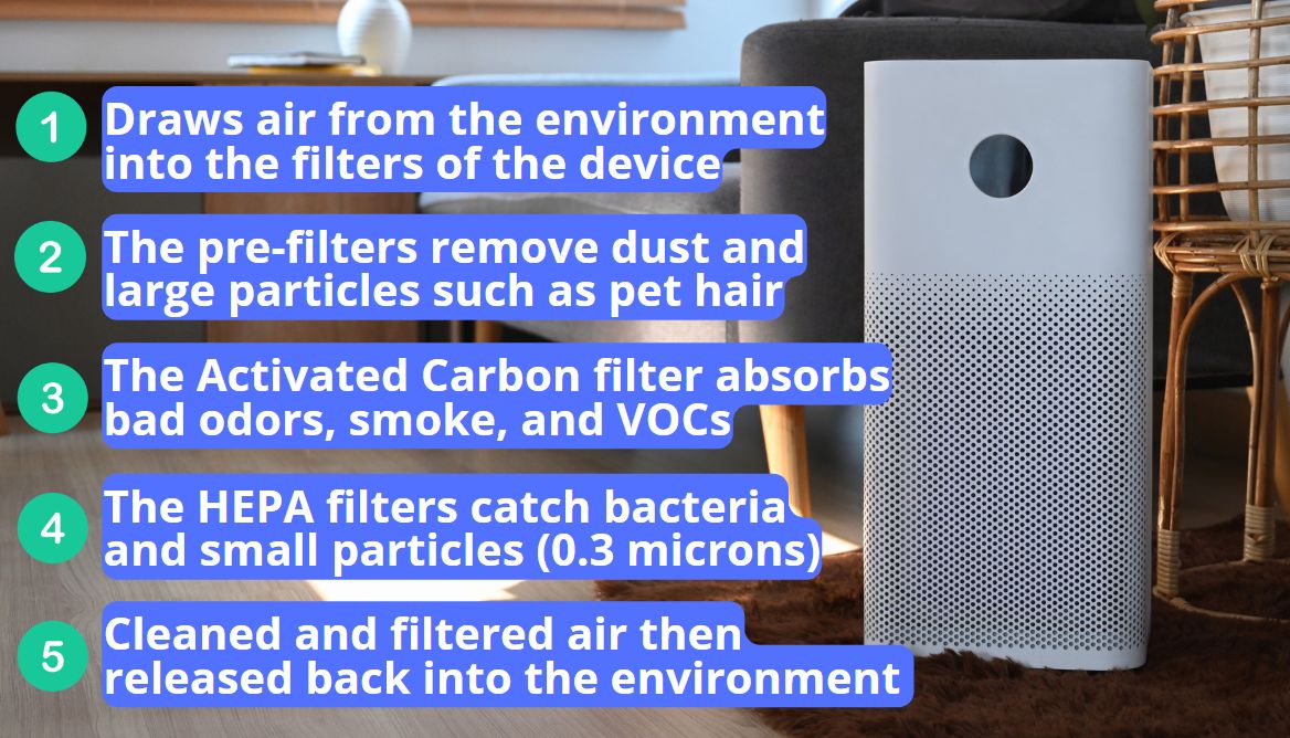 How Does an Air Purifier Operate