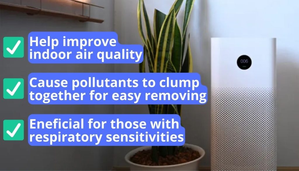 Air Purifier vs Ionizer 3 Essential Differences and Winner
