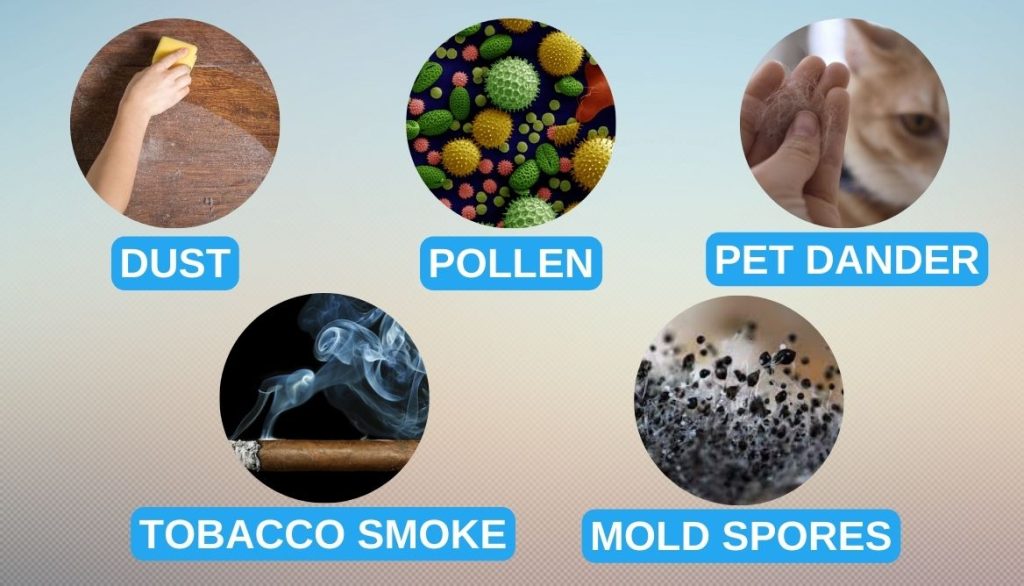 What Does An Ionizer Do? Revealed Along With 5 Uses and Benefits