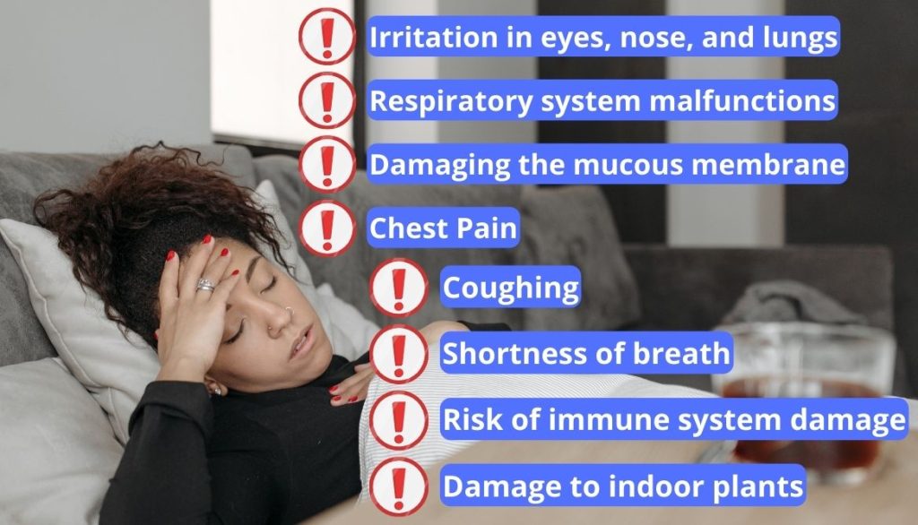 How to Use an Ozone Generator at Home 7 Safety Guidelines