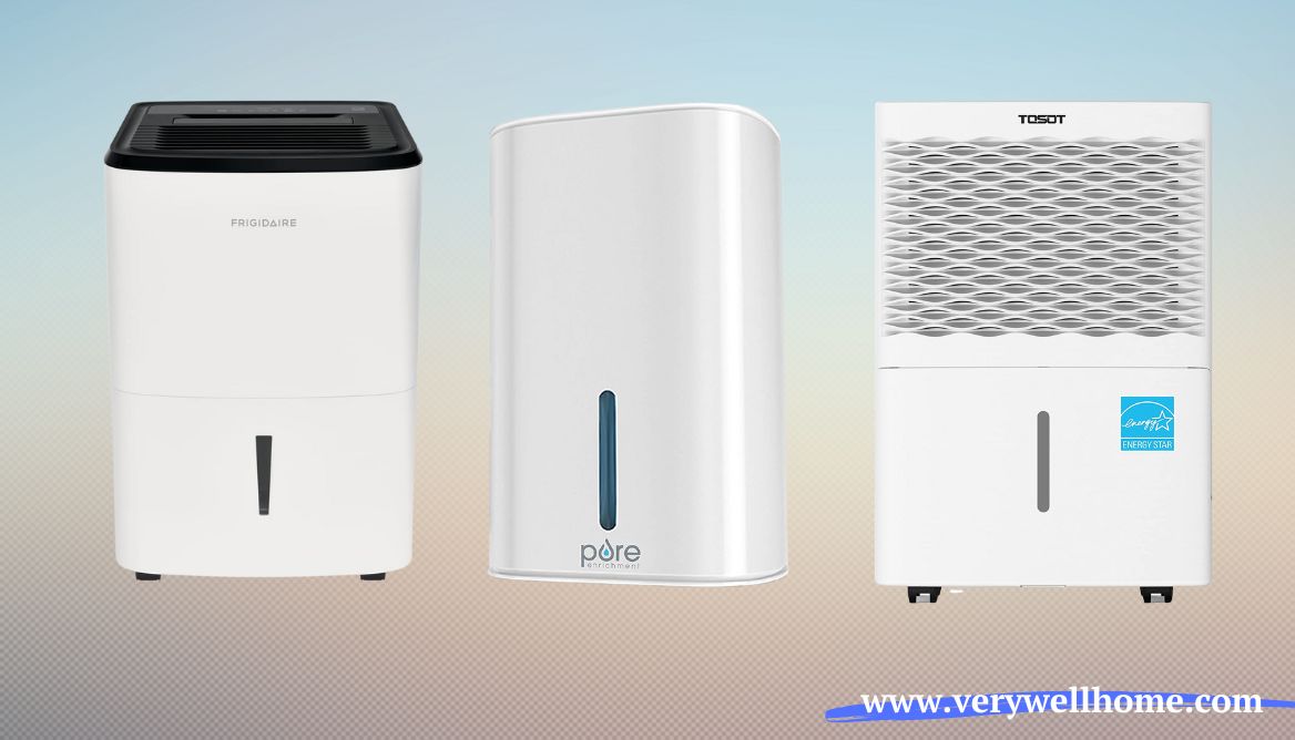 Air purifier vs Dehumidifier 3 Important Differences!