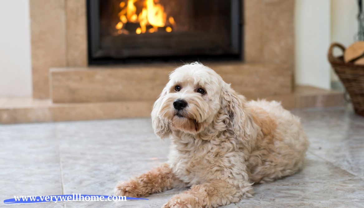 Do Air Purifiers Help With Smell? 5 Things You Should Know!