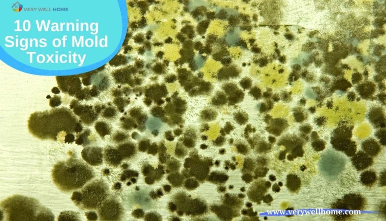 10 Warning Signs of Mold Toxicity
