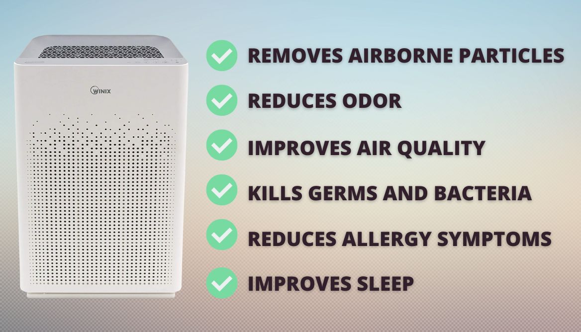 Air Purifier vs Humidifier Look Out 5 Important Differences