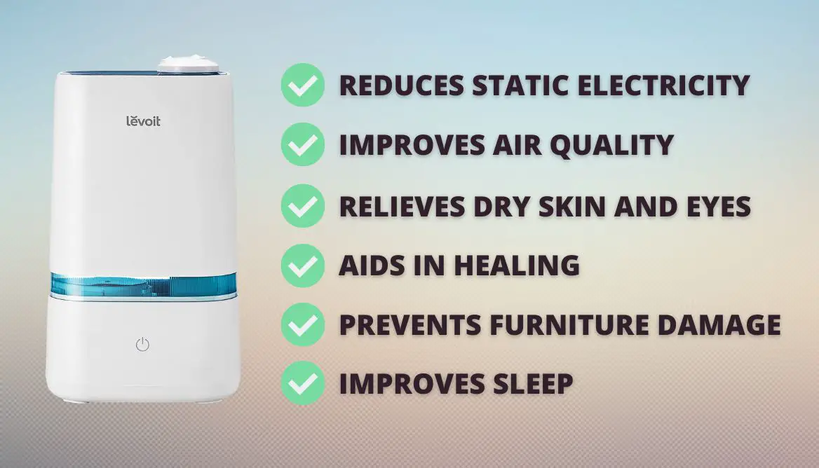 Air Purifier Vs Humidifier: Look Out 5 Important Differences