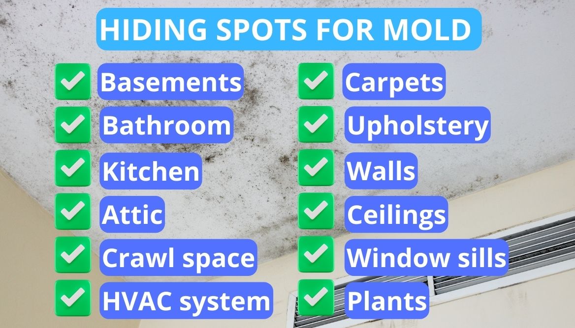 10 Warning Signs of Mold Toxicity Check Right Now!