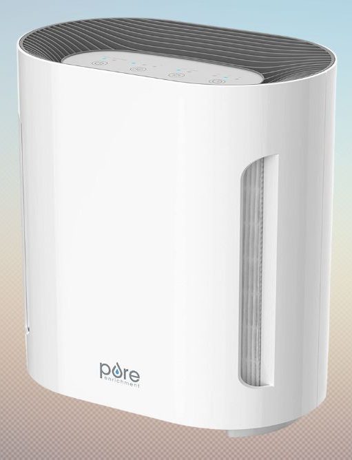 Best Air Purifier For Asthma And Allergies Top 11 Models