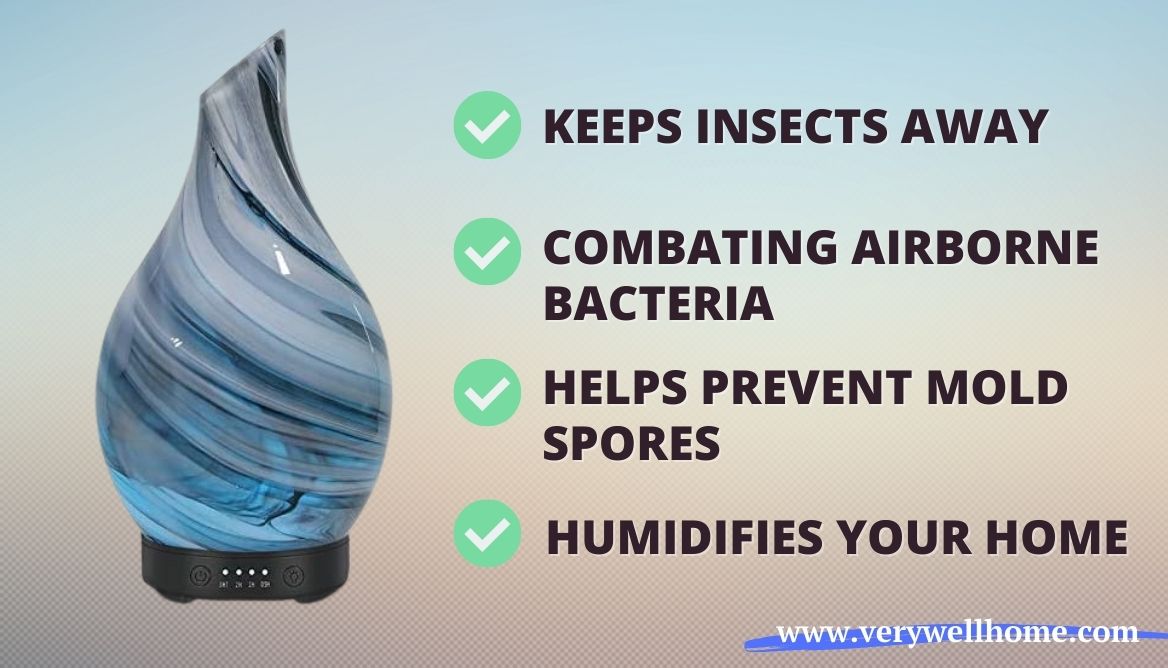 Air Purifier vs Diffuser Check 5 Important Diffrences!