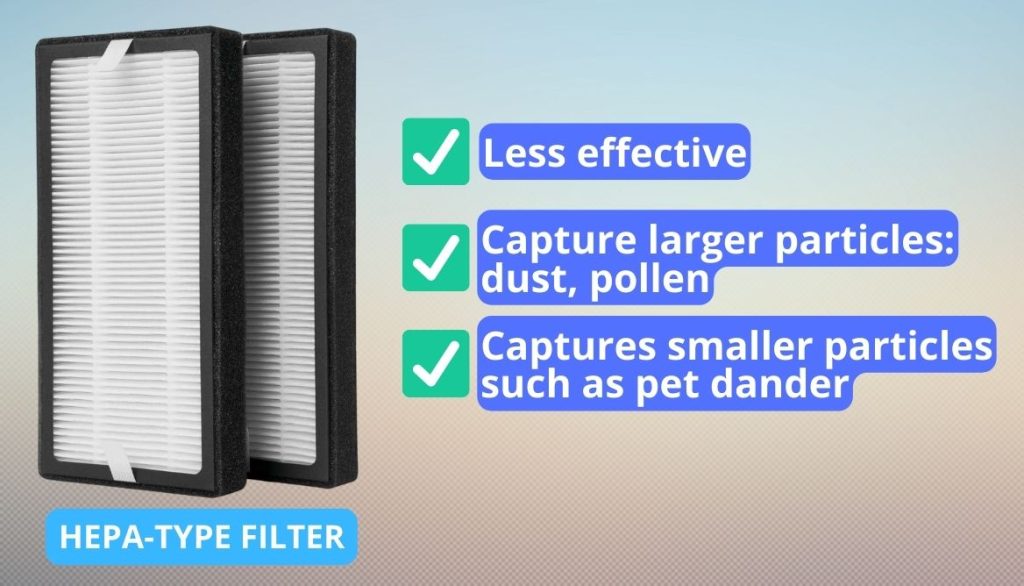 HEPA vs True HEPA The Truth about Air Filters Unveiled!