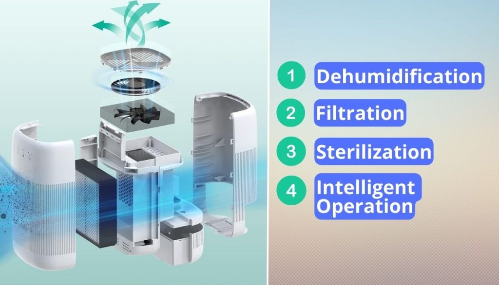 Best Air Purifier and Dehumidifier All in One Top 6 Models