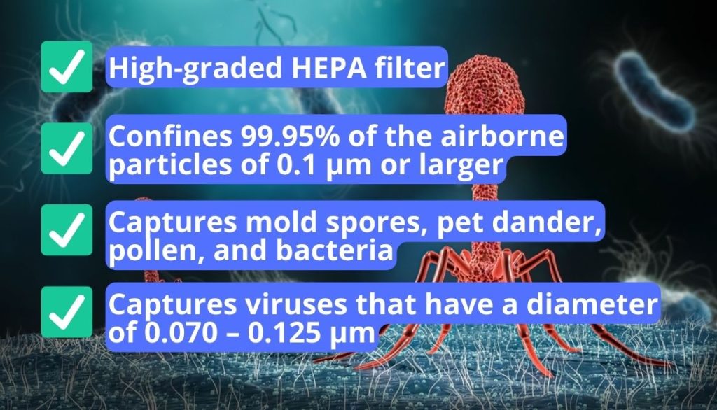 What Is an H13 HEPA Filter? Can It Trap Dangerous Viruses?