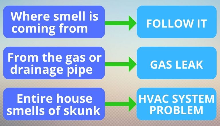 The Skunk Smell In the House Dangerous: 4 Ways To Get Rid It