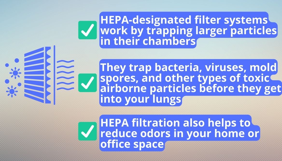 HEPA vs True HEPA The Truth about Air Filters Unveiled!