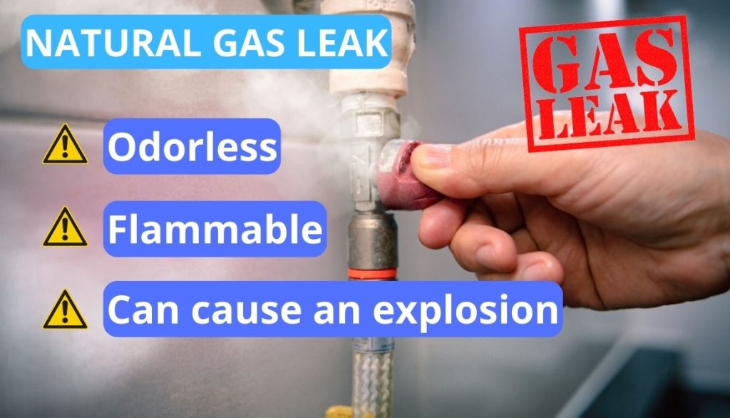 The Skunk Smell In the House Dangerous 4 Ways To Get Rid It