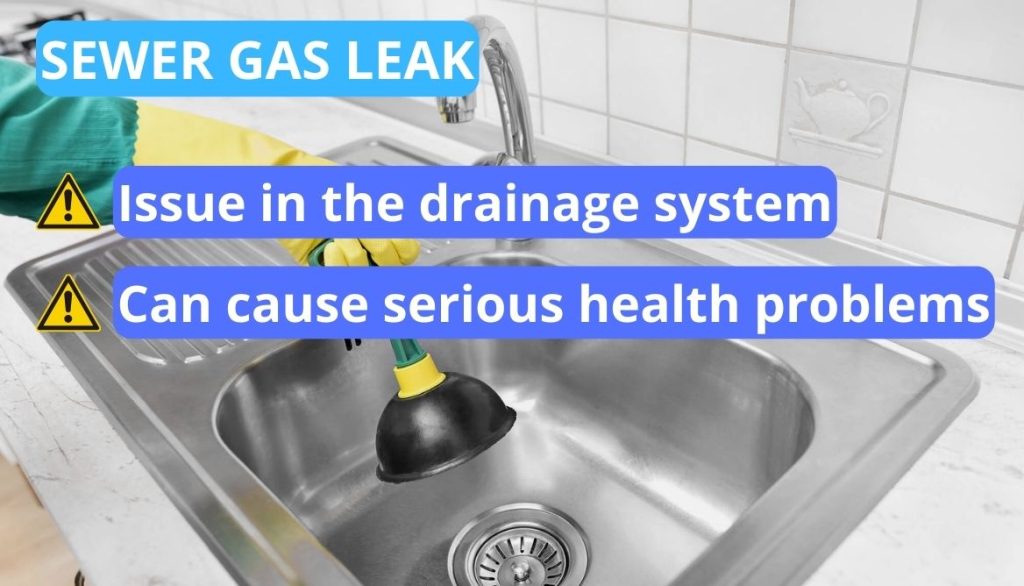 The Skunk Smell In the House Dangerous 4 Ways To Get Rid It