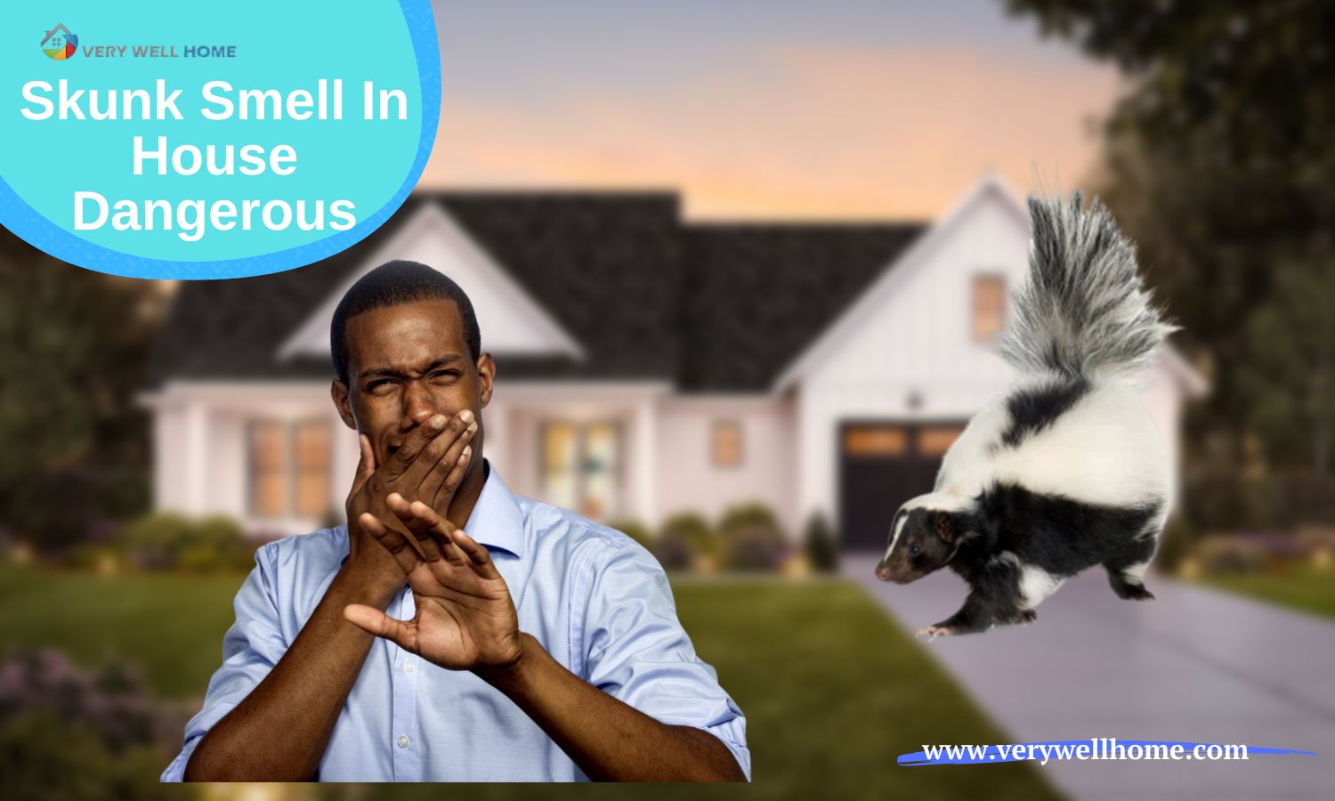 Skunk Smell In House Dangerous