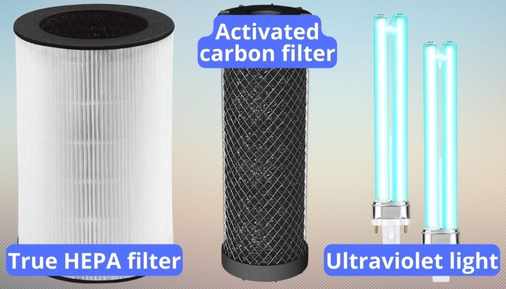 Are Air Purifiers Worth It? 9 Solid Reasons To Buy Them