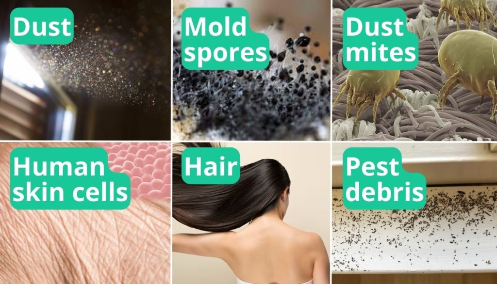 Are Air Purifiers Worth It? 9 Solid Reasons To Buy Them