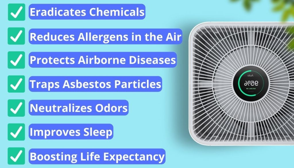 What Does an Air Purifier Do? 6 Essential Pros and Functions