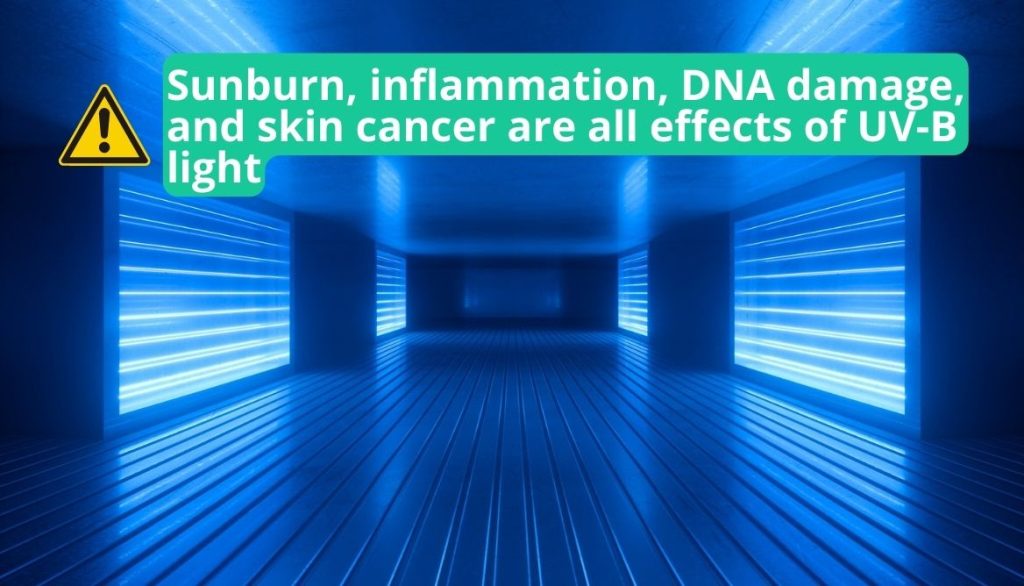 Is UV Light in Air Purifiers Harmful? Are UV Air Purifiers Safe?