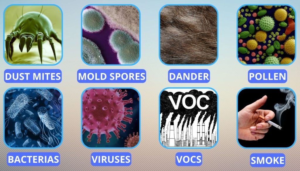 What Does an Air Purifier Do? 6 Essential Pros and Functions