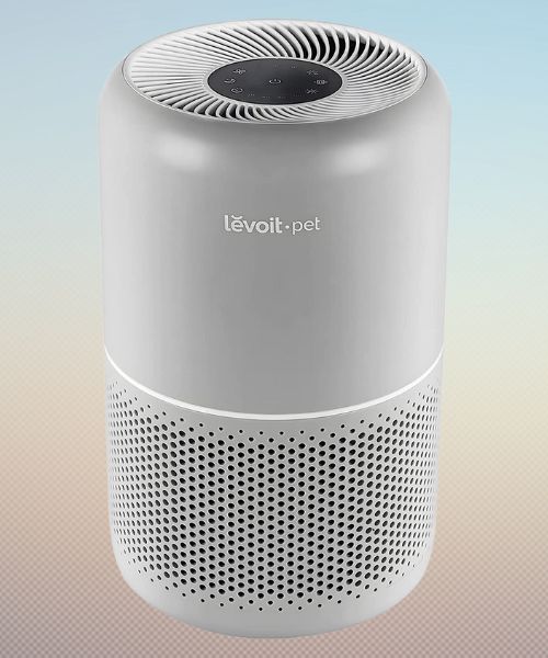 Best Air Purifier for Cat Litter Top 10 Picks Reviewed