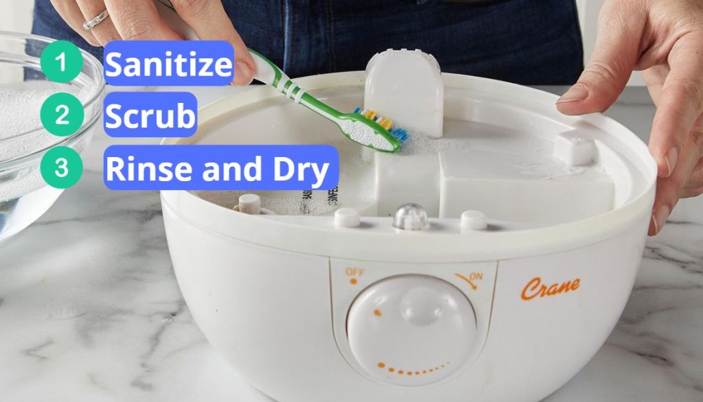Mold In a Humidifier 3 Effective Steps to Remove it!