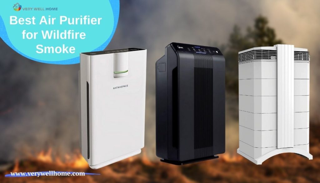 Best Air Purifier for Wildfire Smoke 10 Effective Units 2023