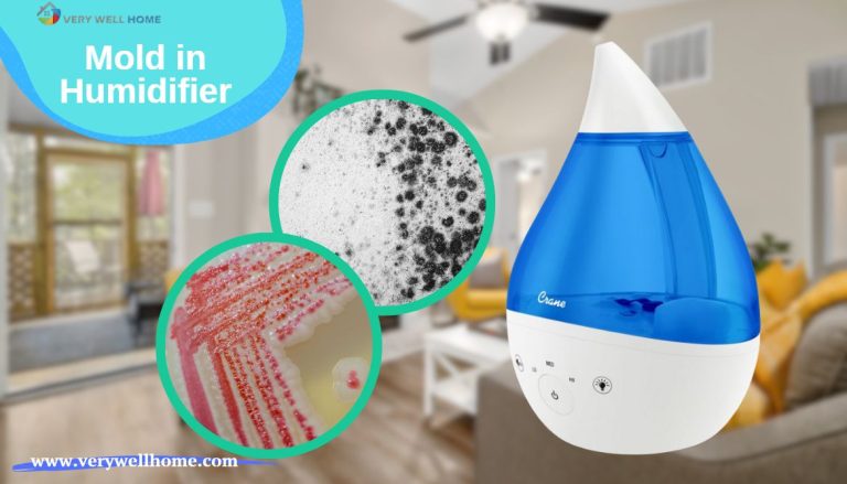 mold in humidifier