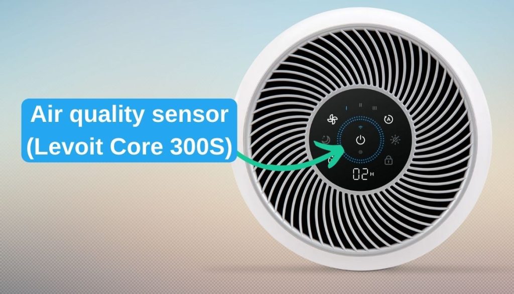 How to Clean a Levoit Air Purifier 6Step Easy Guide
