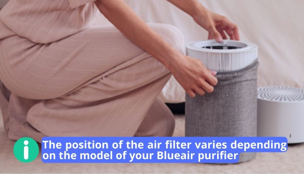 How to Clean a Blueair Filter 10Step Ultimate Guide