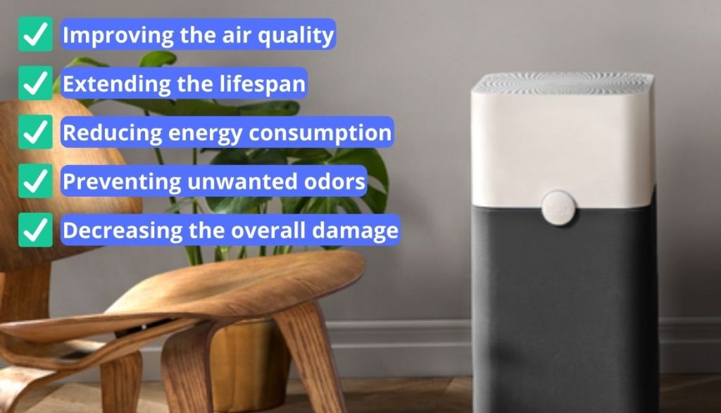 How to Clean a Blueair Filter 10Step Ultimate Guide