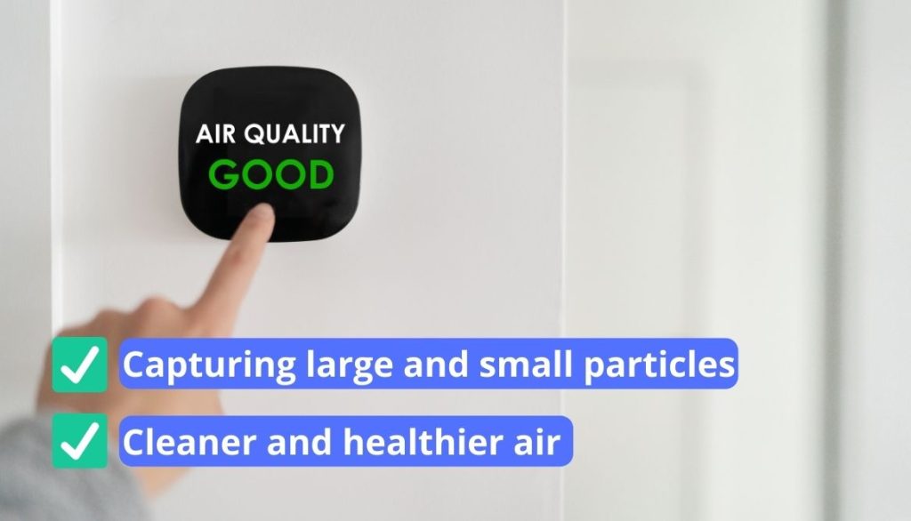 Air Purifier vs Air Filter Which is the Best Pick?
