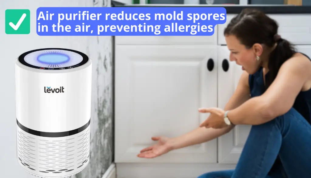 Mold and purifier