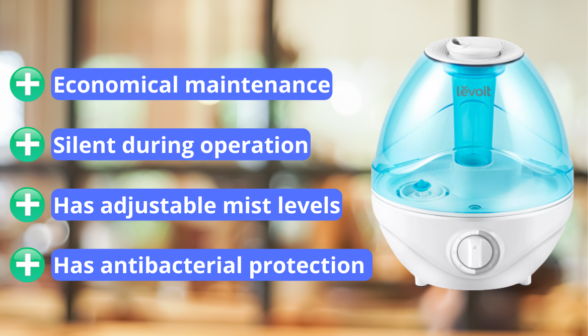 Can You Use a Humidifier Without a Filter? 3 Important Points