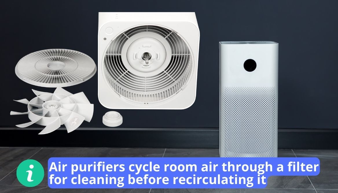 How Much Electricity Does an Air Purifier Use? Cost in 2024