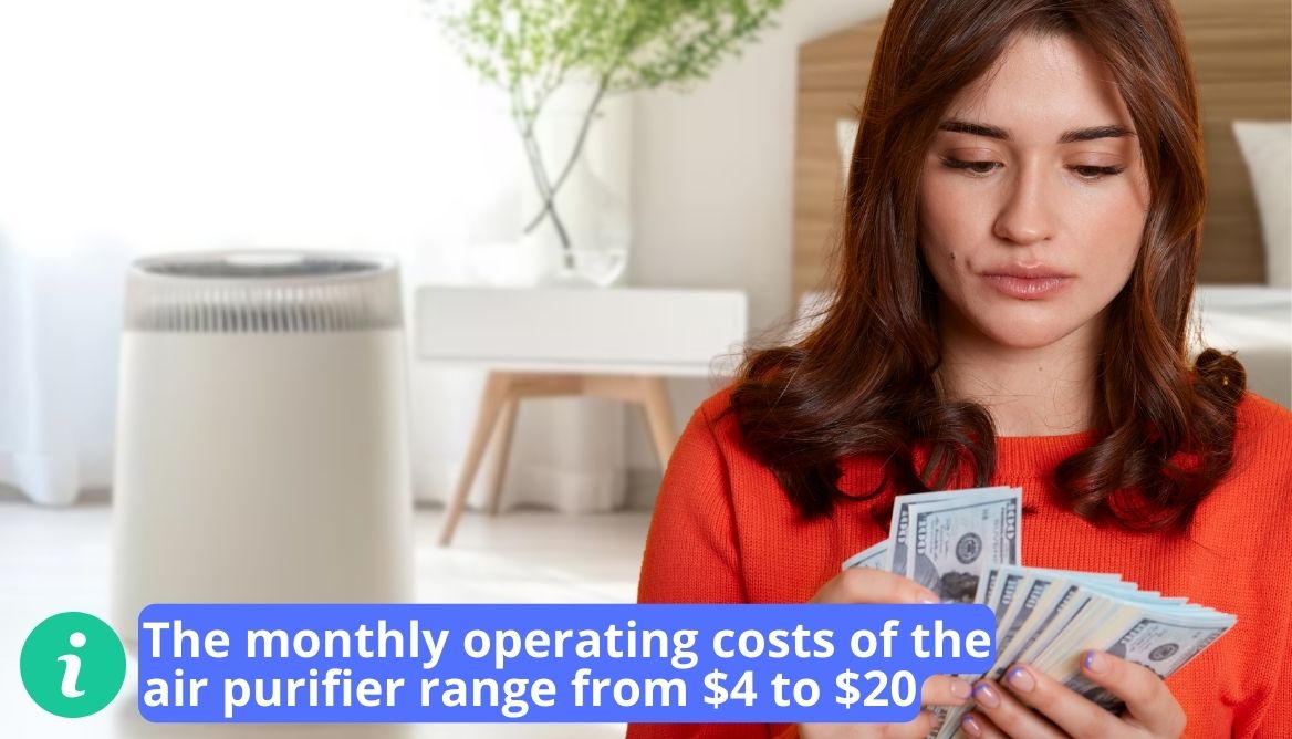How Much Electricity Does an Air Purifier Use? Cost in 2024