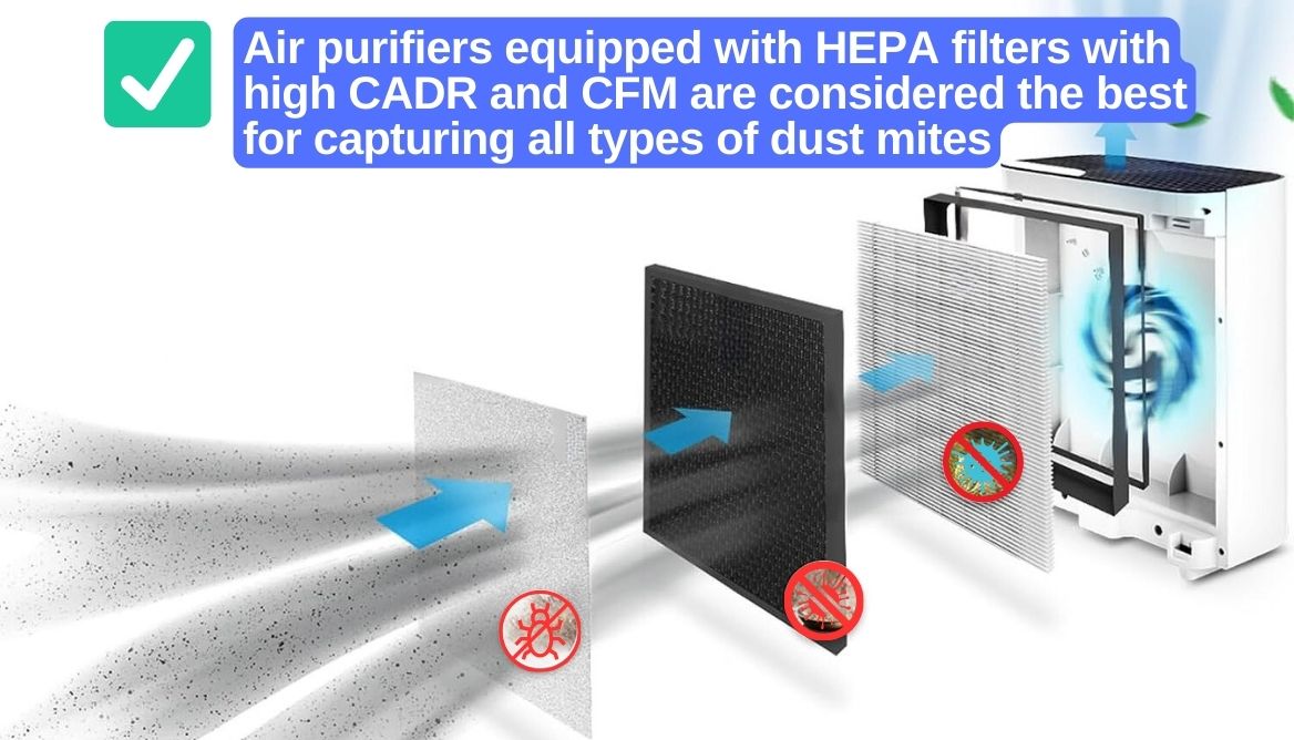 Do Air Purifiers Help With Dust? 4Factor Based Truth Guide