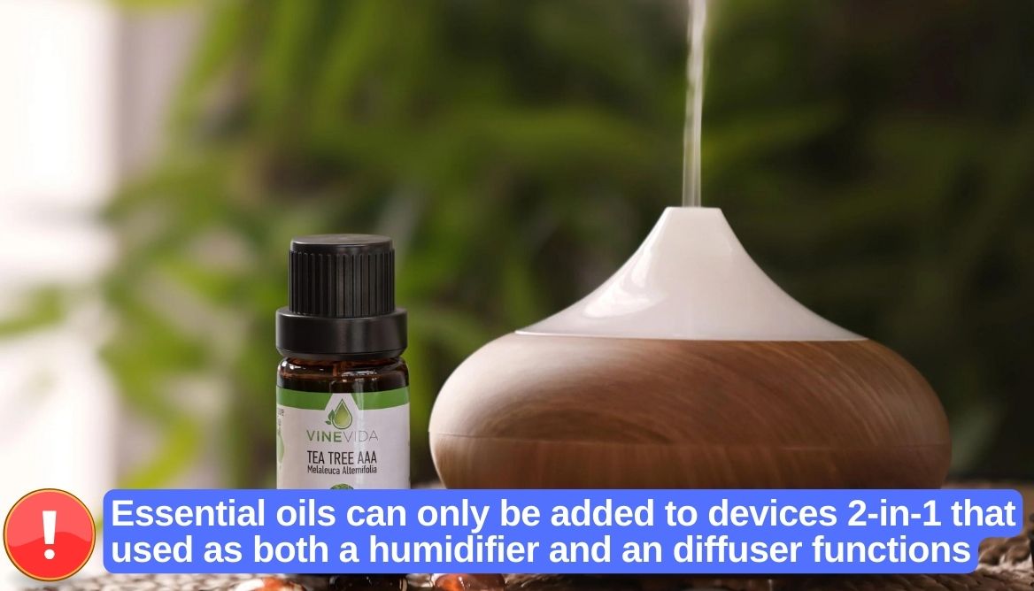 Can You Put Essential Oils to a Humidifier? 3 Important Keys